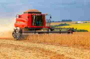  Chuvas favorecem plantio e produção estimada de soja é de 22,4 milhões de toneladas